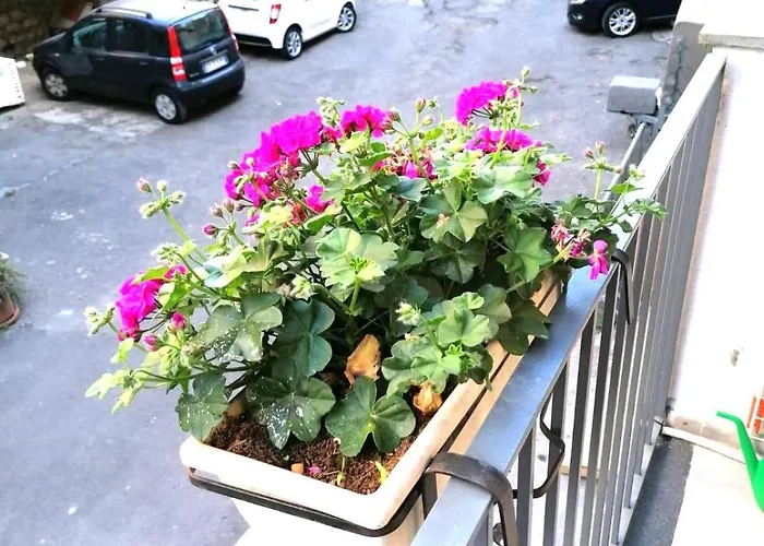 Apartmán La Casa Di Orlando 2 Katánie